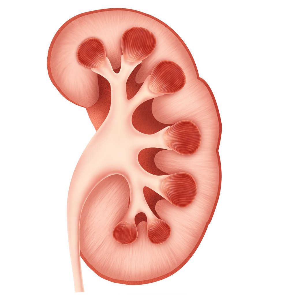 他汀类药物能预防冠心病吗,冠心病为什么要服用他汀类药物