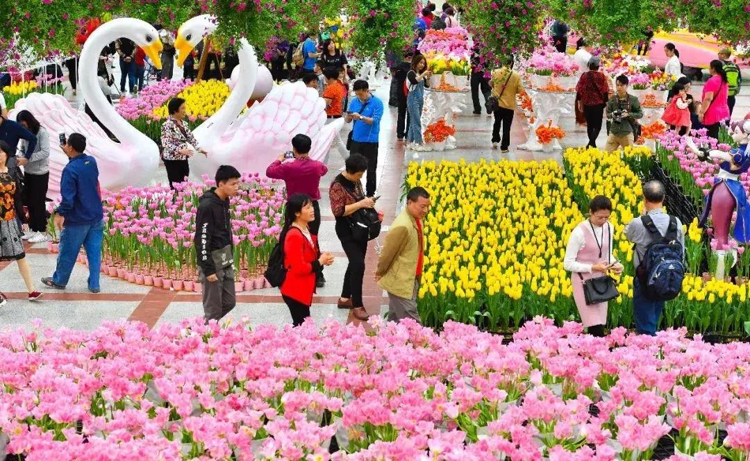 38女神节广州有哪些免费景点,38妇女节广州免票景点