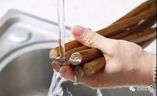 睡莲养护教程,睡莲养护方法教程视频全集