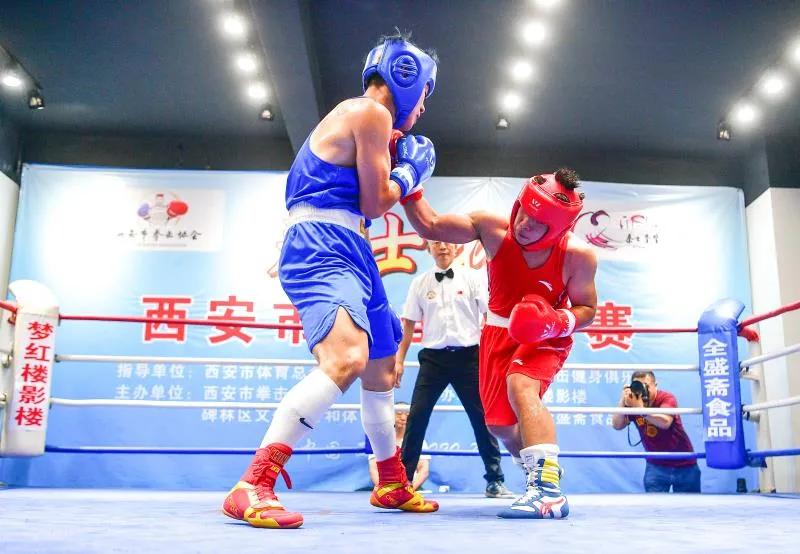 中国拳击锦标赛比赛直播,2019全国男子拳击锦标赛陕西站