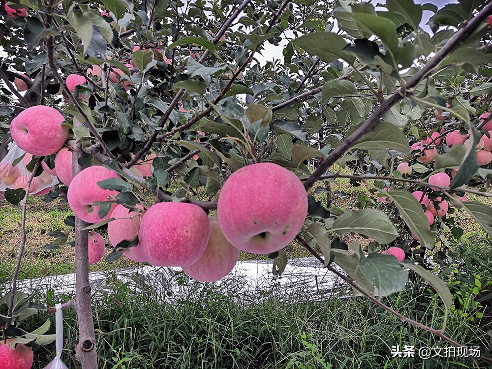 送礼是一门艺术送礼更要讲礼,送礼也是一门学问