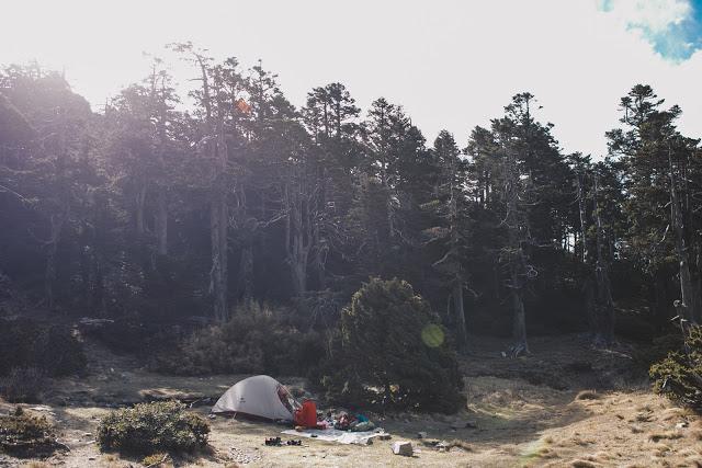 夏天薄款速干短袖,夏季短袖户外速干衣