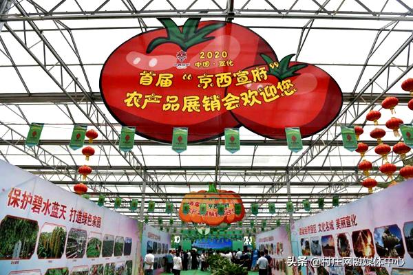 宣化直播带货基地,京西宣府农产品展销会