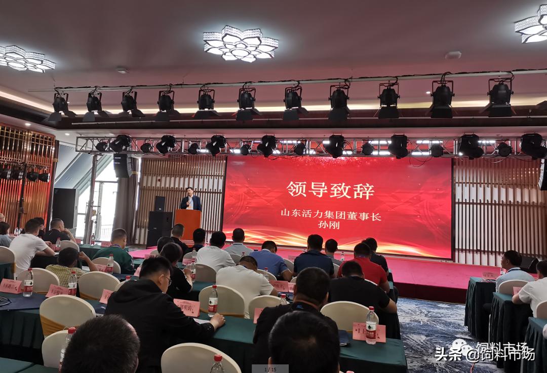 山东活力集团青岛,活力集团新品发布会