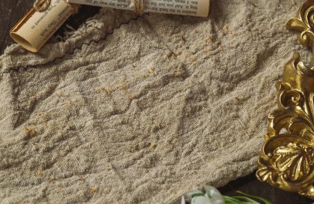 网红小熊曲奇,网红小熊曲奇最新视频