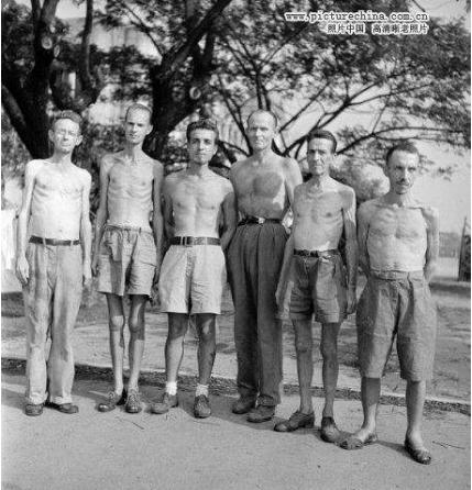 战争到底有多残酷一张图片,一张照片揭露战争的残酷