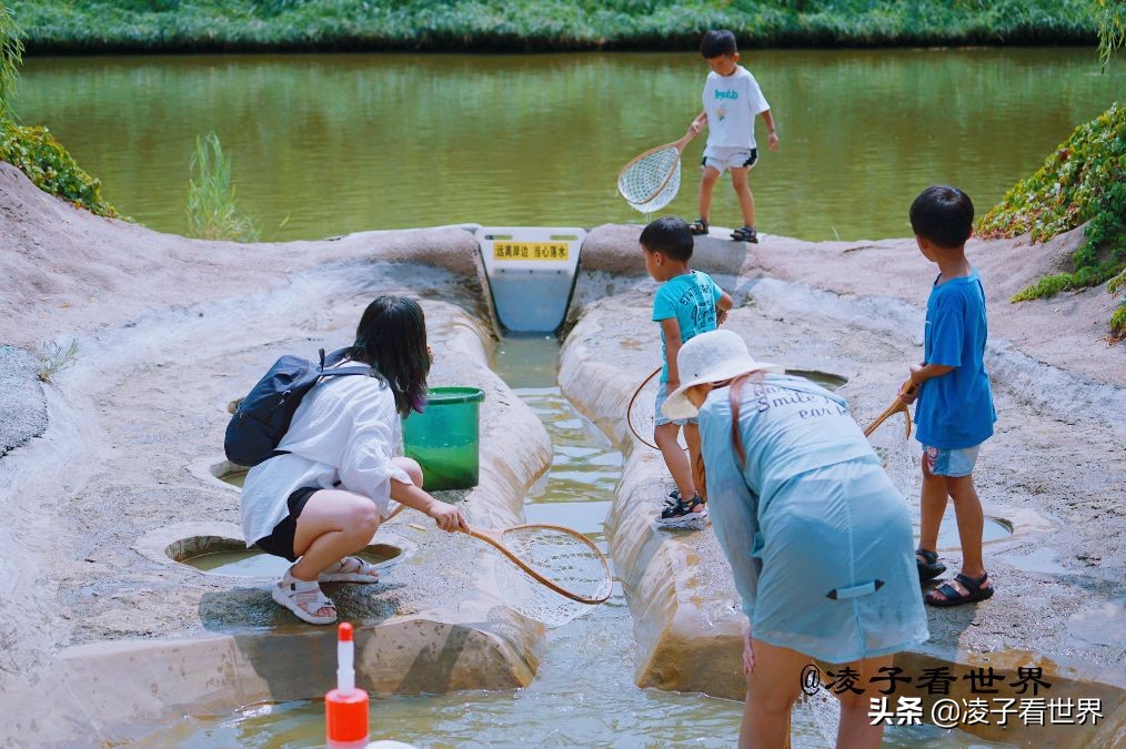 国内渔文化乐园,世界十大渔文化乐园