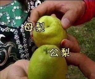 *疆新**也有很多“奇葩”的食物，有的看到反胃，有的念念不忘