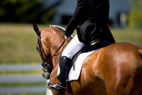 武汉军运会包括哪些项目,武汉军运会时间表