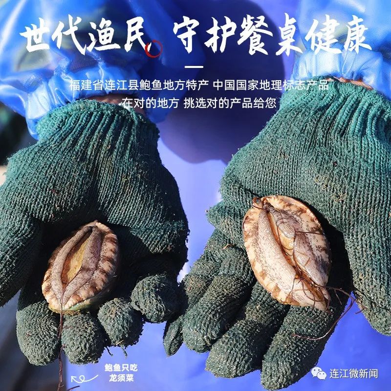 四宝卖货直播,连江四宝最新直播