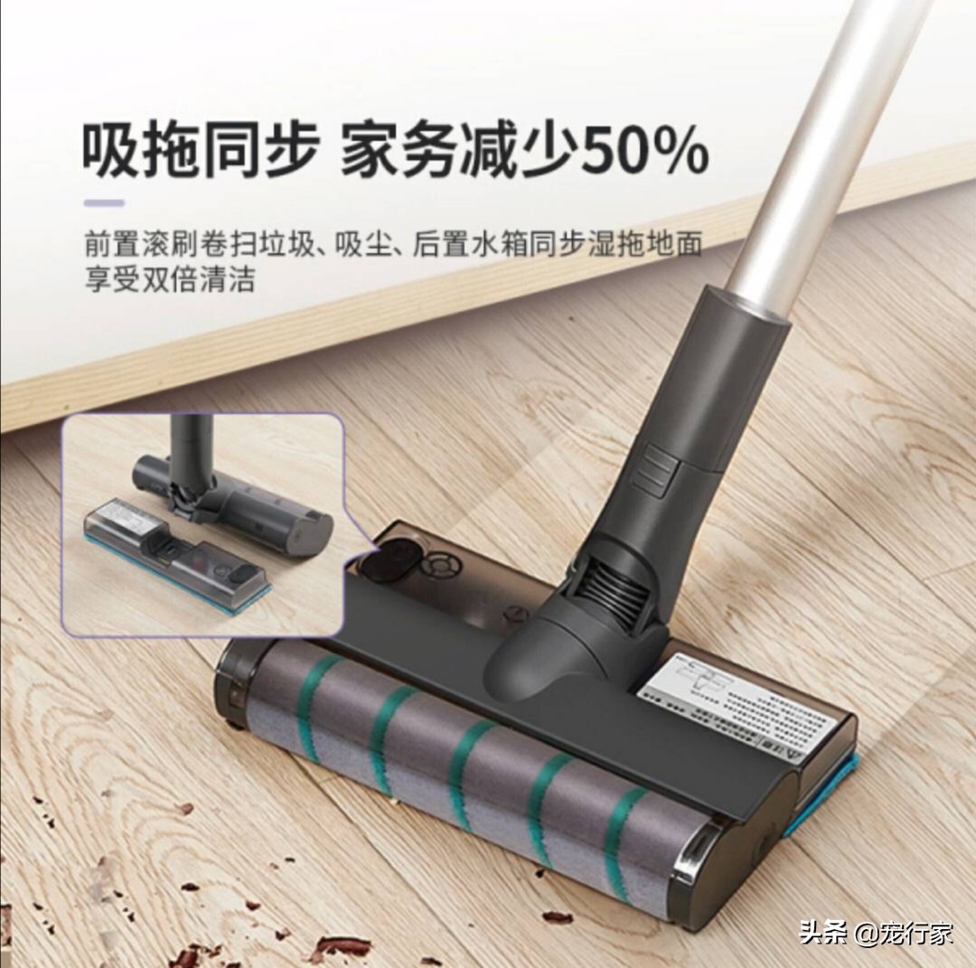 怎么处理猫毛最快最有效,处理猫毛的有效方法