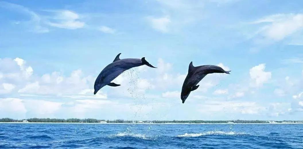 疫情期干点啥好挣钱,疫情期做什么