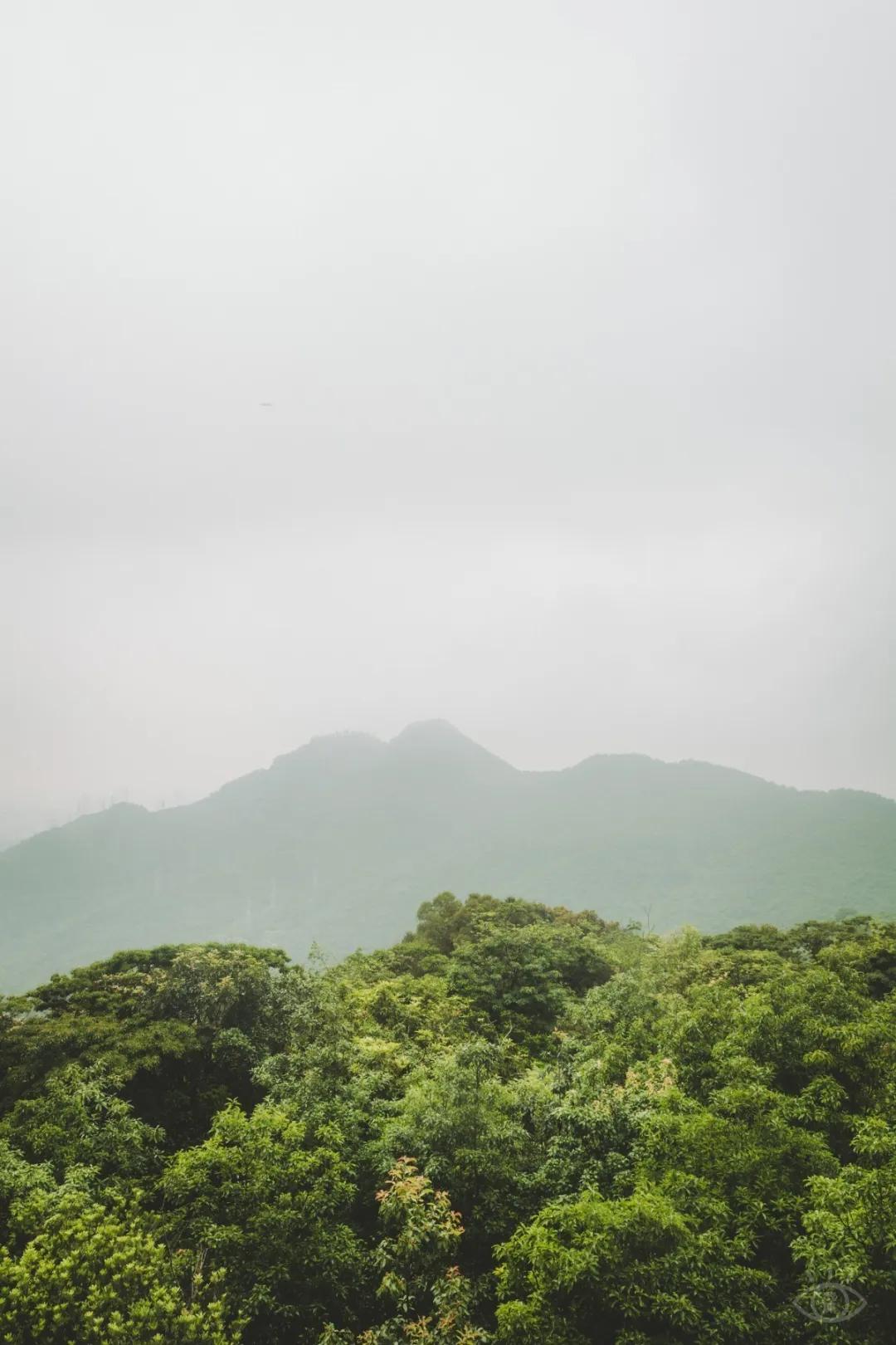 深圳值得去的地标,深圳值得去的景点排行榜