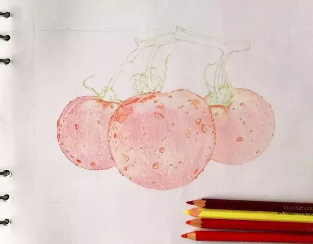 儿童彩铅画番茄,彩铅画写生番茄