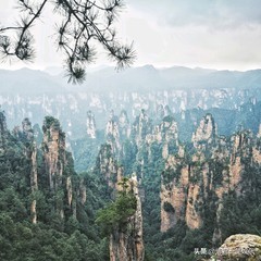 张家界团队游玩路线攻略图,张家界三日游详细攻略