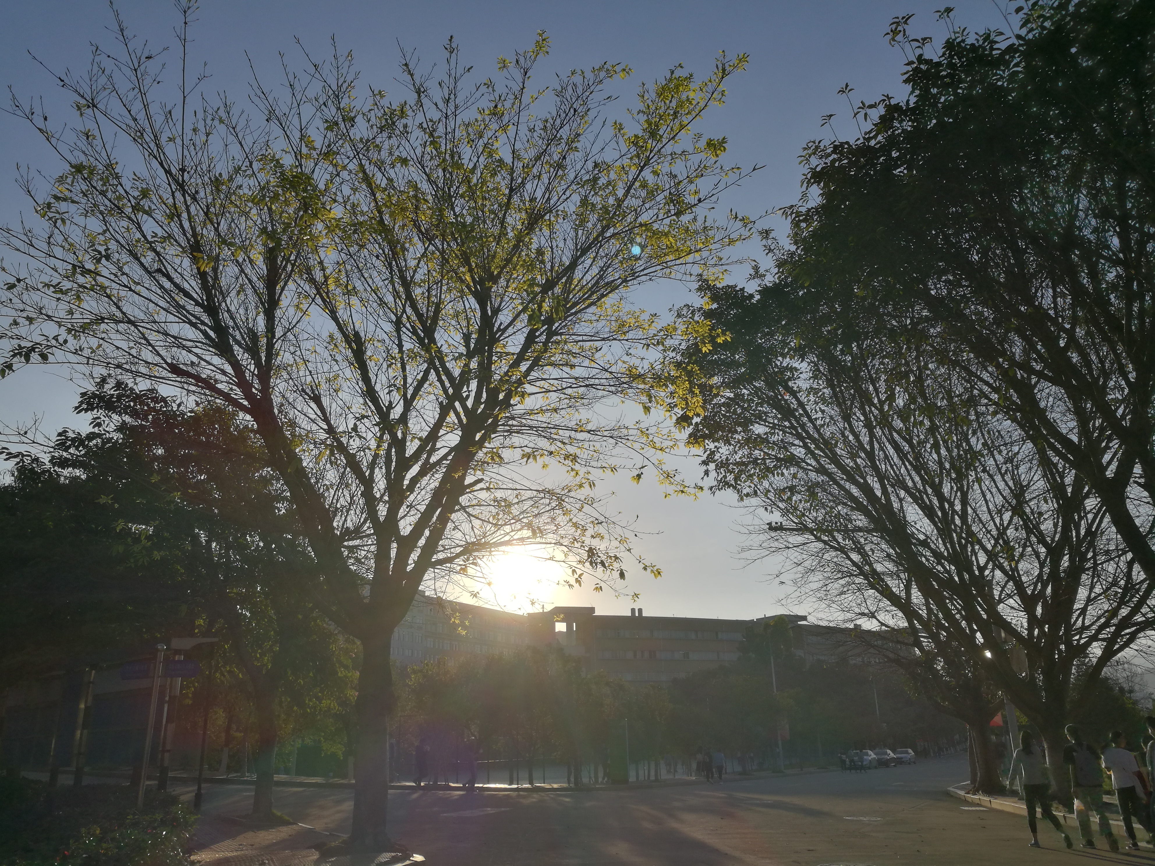 四年青春,四年青春短暂