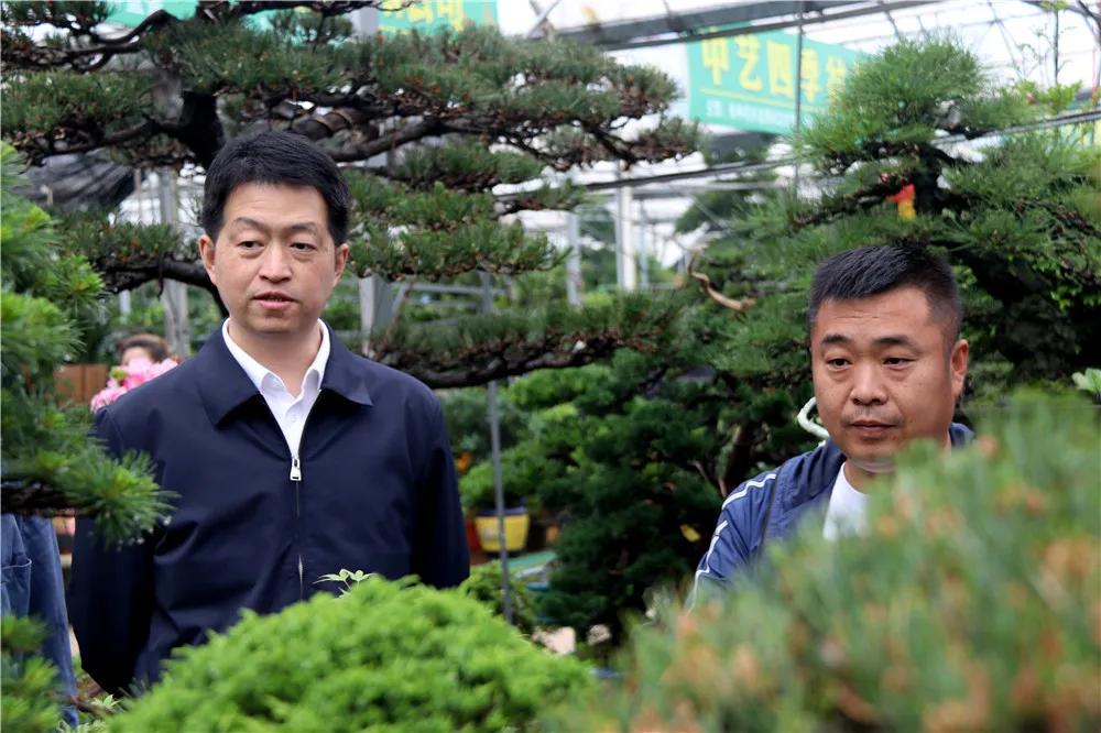 中国沭阳国际花木城在哪个城市,沭阳花木城的发展