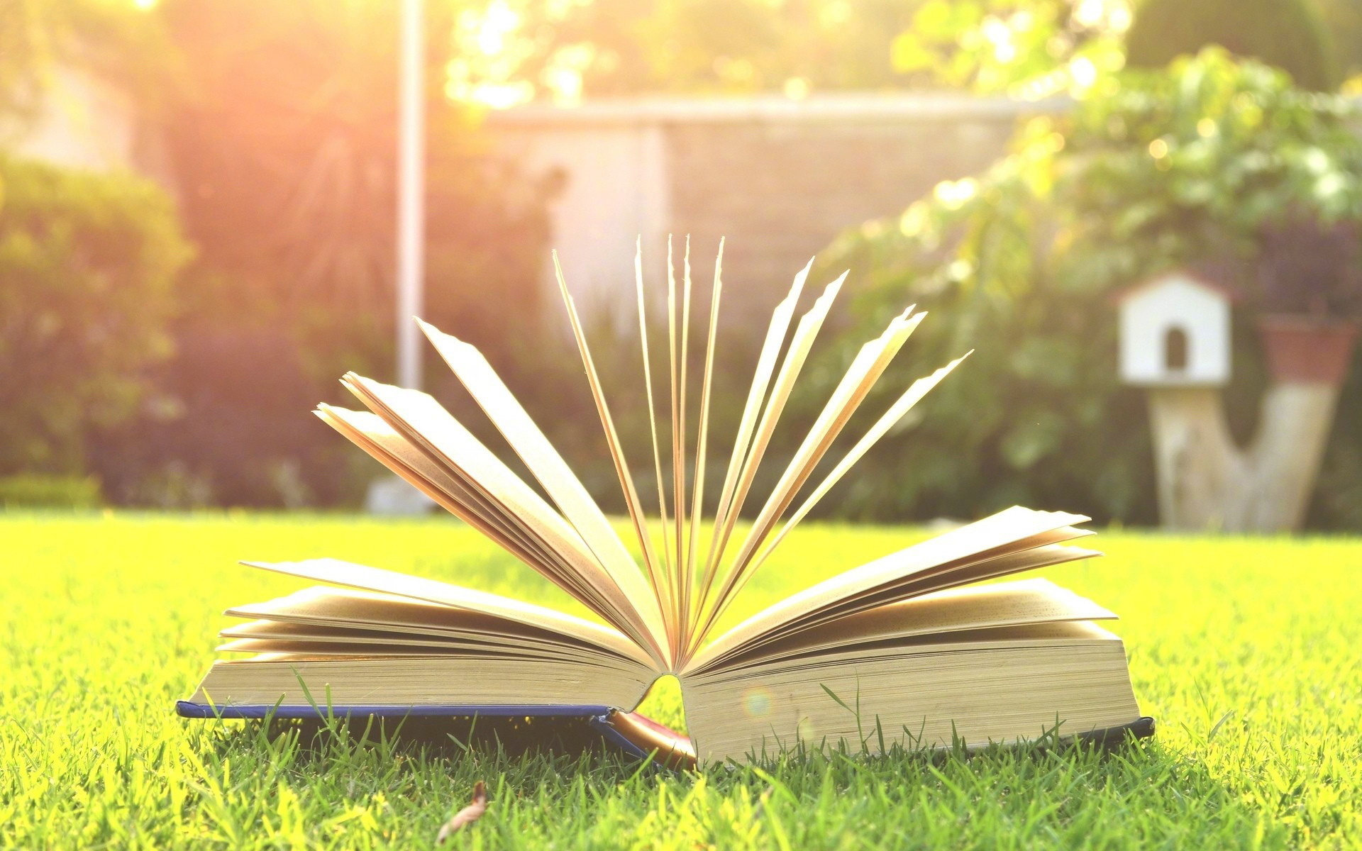 股票基金债券期货年化,股票期货基金债券风险