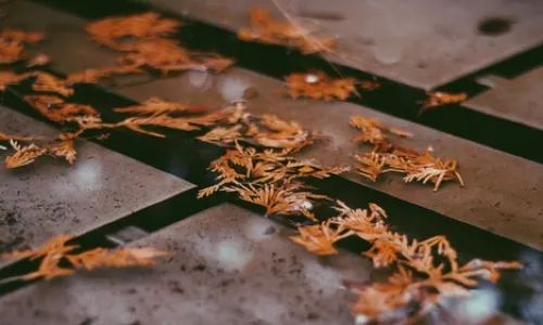 英语不行，他用3年时间总算寻得无语言要求的加拿大移民方式