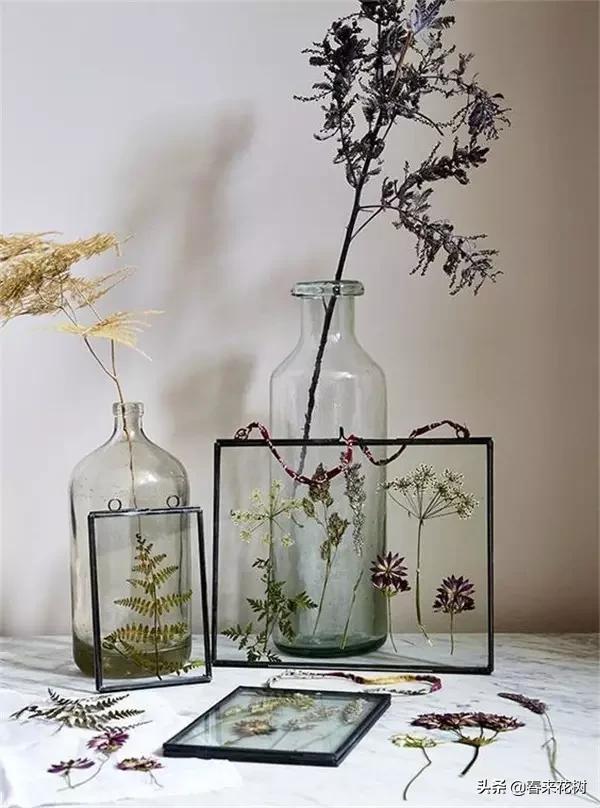 植物标本如何做简单又好看,植物能做什么手工