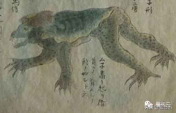 天山南北水怪谜团,水怪真实存在的未解之谜