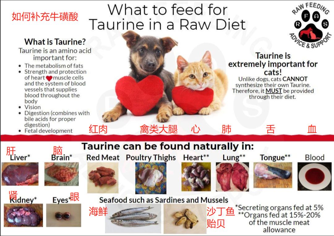 低脂无谷粮狗粮推荐,无谷狗粮怎么吃最好