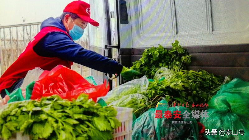 泰安市岱岳区下港镇杨家庄村,泰安市下港镇杨家庄村