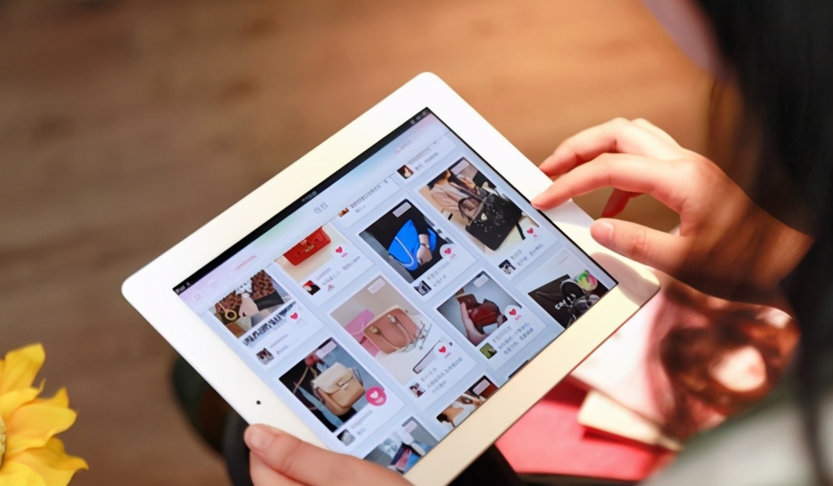 网上买的新猫需要做什么检查,购买新猫怎么检查