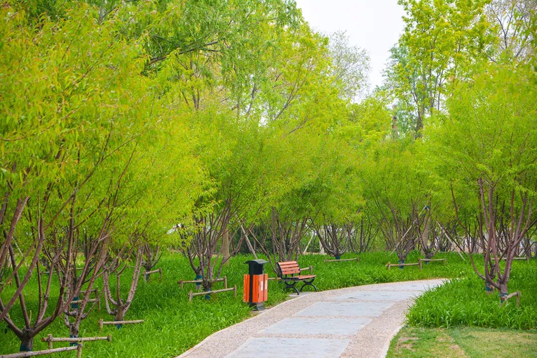 北京新开40个公园在哪里,北京十佳公园