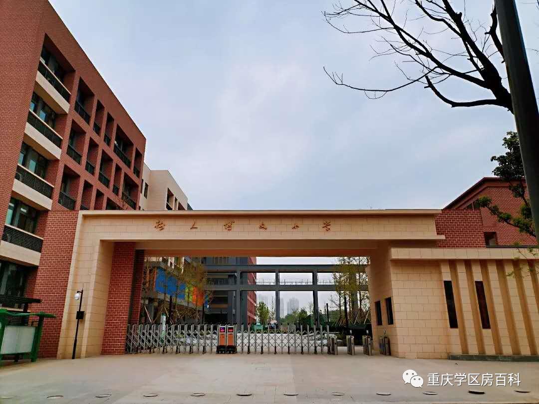 树人小学到底有多少分校,重庆市树人小学有几个分校