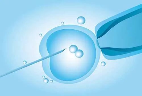 七夕特辑|试管期间，能做“羞羞”的事么？