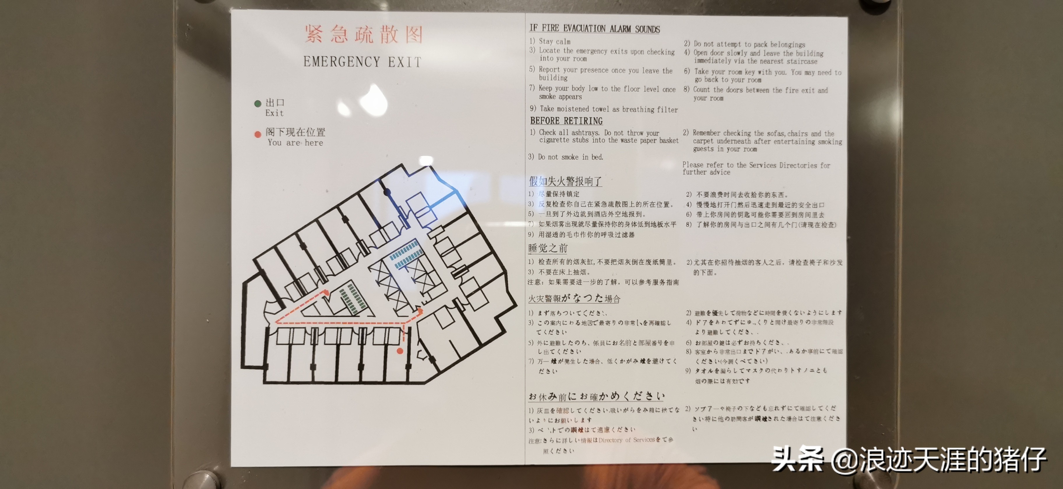 上海最具性价比的五星级酒店,上海四星以上酒店推荐