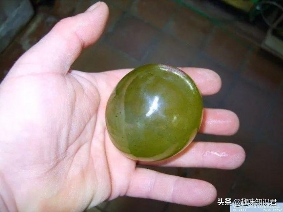 趣味冷知识科普知识大全,趣味冷知识科普素材