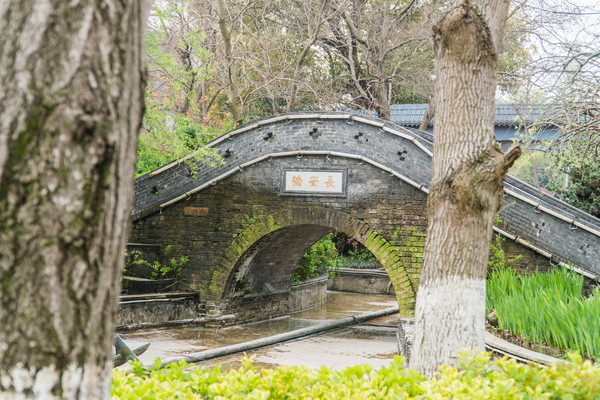 踏春赏花拍美景,踏春赏花逛湖
