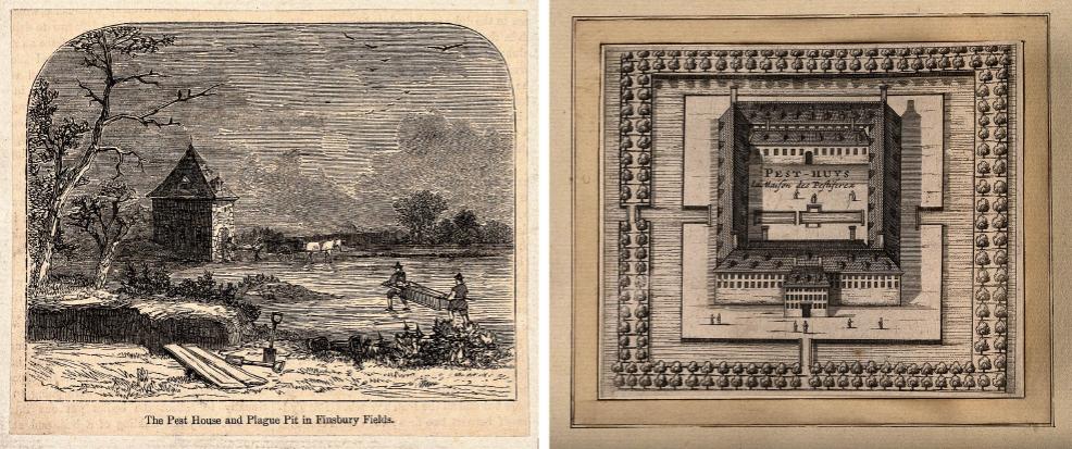 瘟疫预防小知识,瘟疫的防治方法