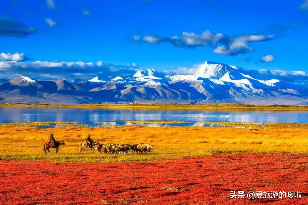 中国最美十大自驾线路,中国最美的七条自驾游路线