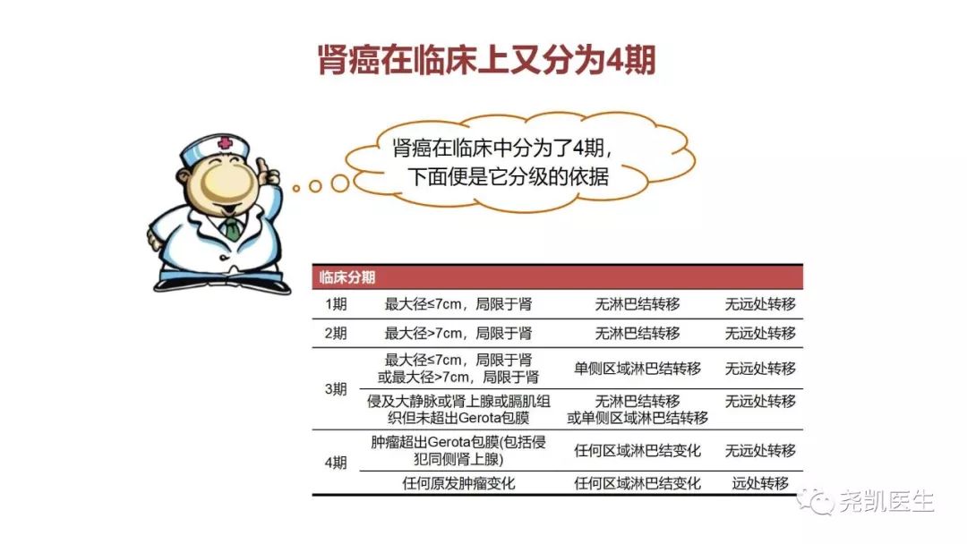 肾脏有包块饮食应注意什么,肾包块是什么