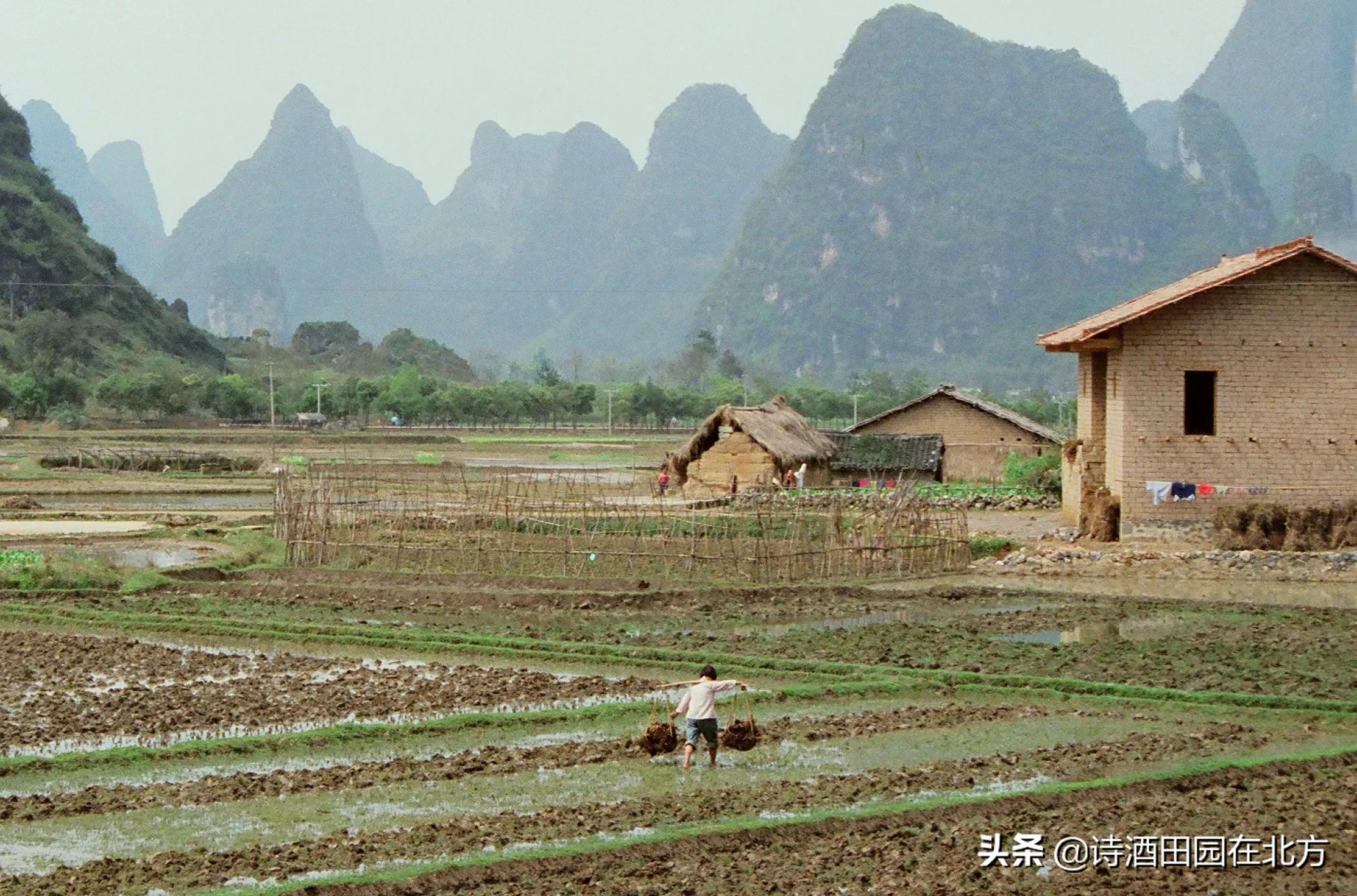 八十年代阳朔,上世纪八十年代广西桂林图片