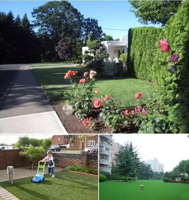 楼顶草坪花园设计效果图,花园草坪养护问题的成果概述