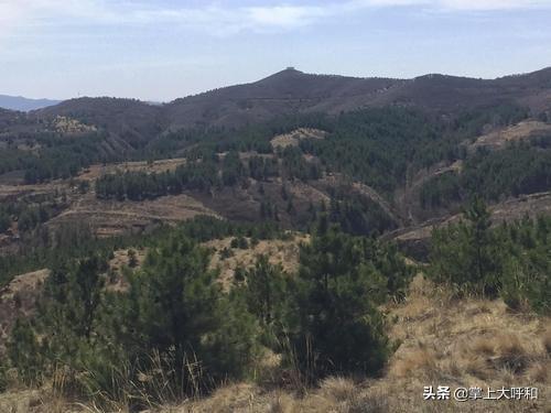 呼市新闻榆林镇 (呼市赛罕区榆林镇是小城镇吗)