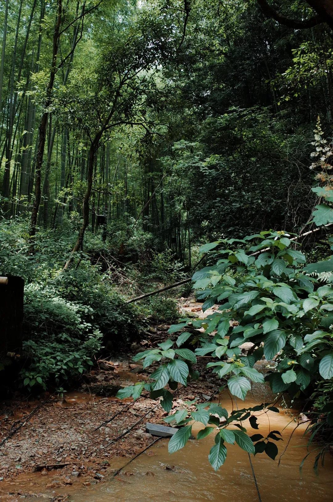 杭州西湖人少景美的地方,杭州人少景美免费景点
