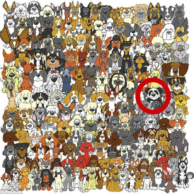 观察力11万人未答对,观察力训练和思维能力训练方法