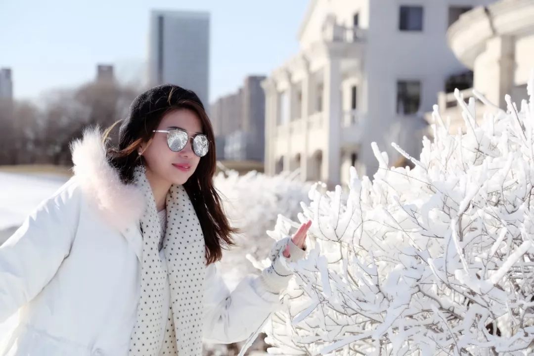 机票不到800元，第2次东北沈阳之旅，1个鸡架配老雪！