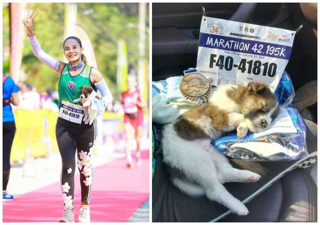 运动员踢死一只小狗,运动员踢小狗