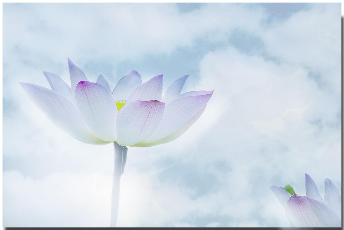 读易经可以让你的业绩翻番,易经讲月盈则亏