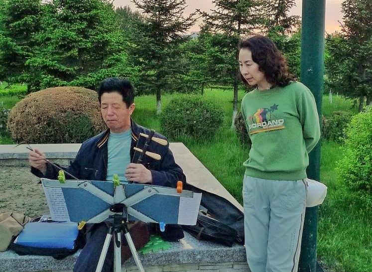 荷兰的郁金香为什么被称为国花,郁金香在荷兰有多高贵