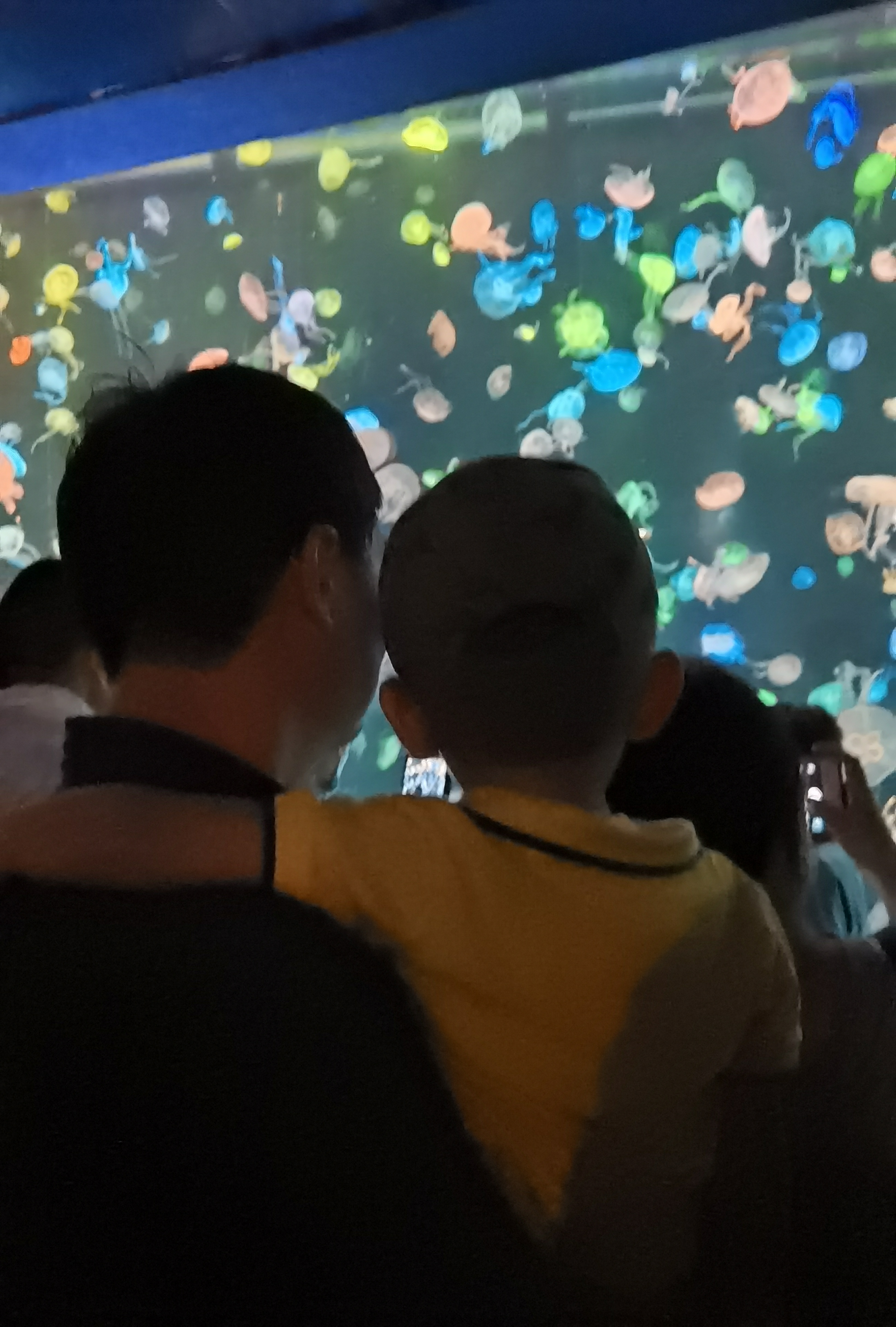 珠海长隆海洋王国回本攻略,珠海长隆海洋王国一天能玩转吗