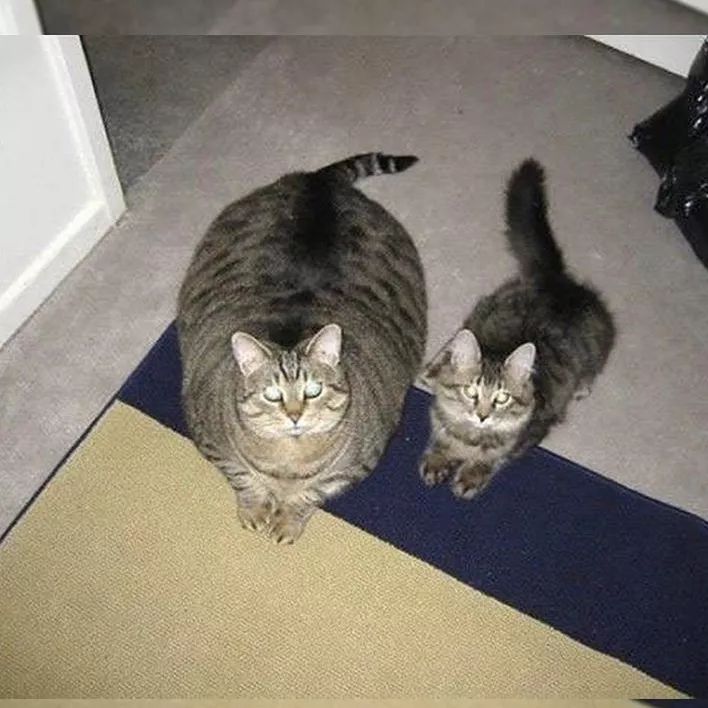 重磅礼物,大礼物开箱