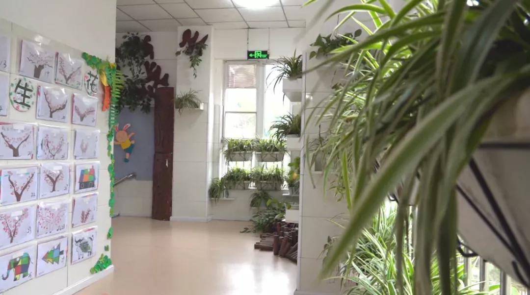 安岳县第三幼儿园是几级园,安岳县第三幼儿园作品