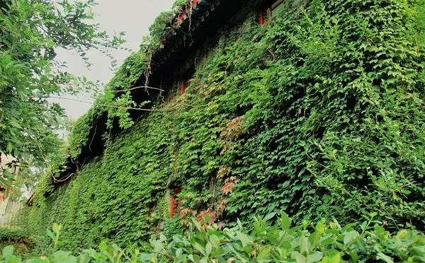 北京有哪些美丽的景点,北京有一座美丽的城